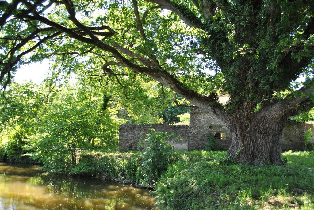 Le Manoir De La Vieille Douve Bourg-d'Ire Exterior foto